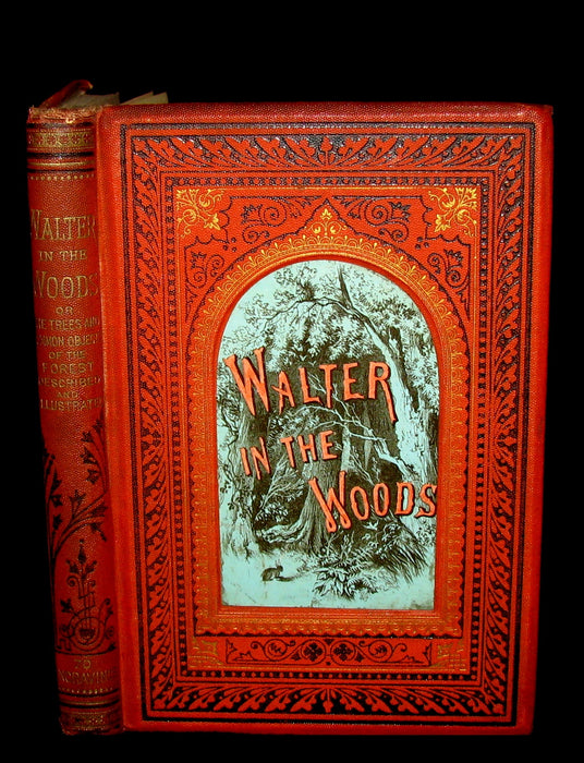 1873 Scarce Book - WALTER IN THE WOODS - The Trees and Common Objects of the Forest.