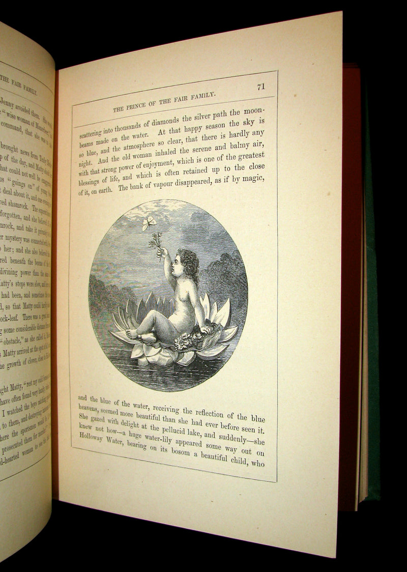 1866 Rare Book - The Prince of the Fair Family. A Fairy Tale by Anna Maria Hall.