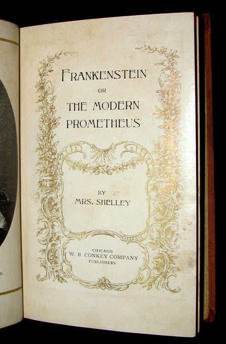 1901 Scarce Gothic Book - FRANKENSTEIN  or, The Modern Prometheus by Mary Shelley.