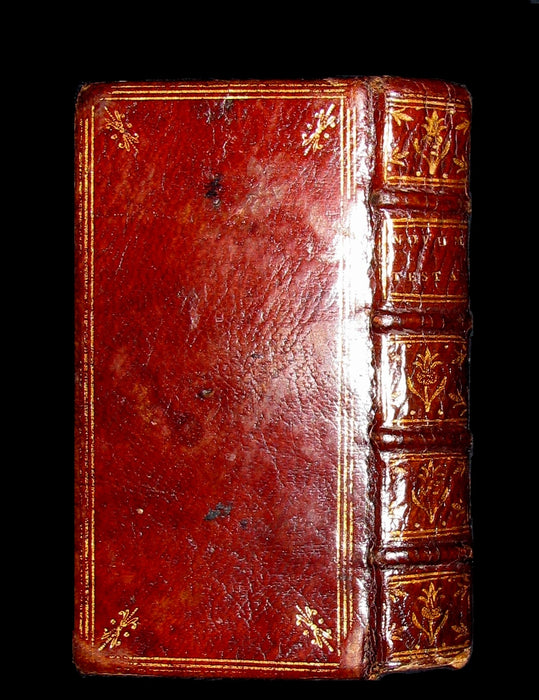 1677 Rare Latin Bible - Novum Testamentum Domini nostri Jesu Christi - New Testament.