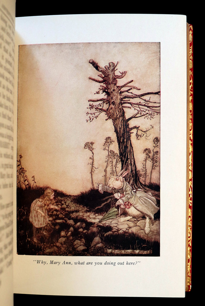 1950 Rare Bayntun Binding - Alice's Adventures in Wonderland illustrated by Arthur Rackham.