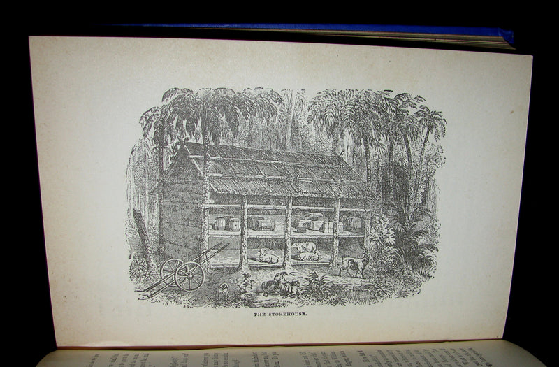 1890's Rare Victorian Book -  MASTERMAN READY by Captain Frederick Marryat.
