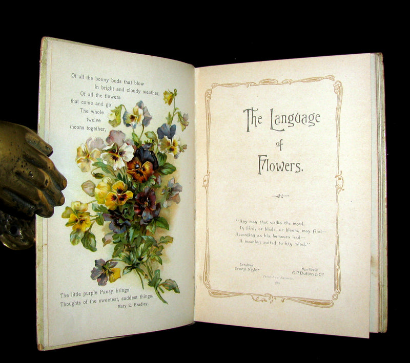 1890 Rare Floriography Book ~ The Language of Flowers by Ernest Nister