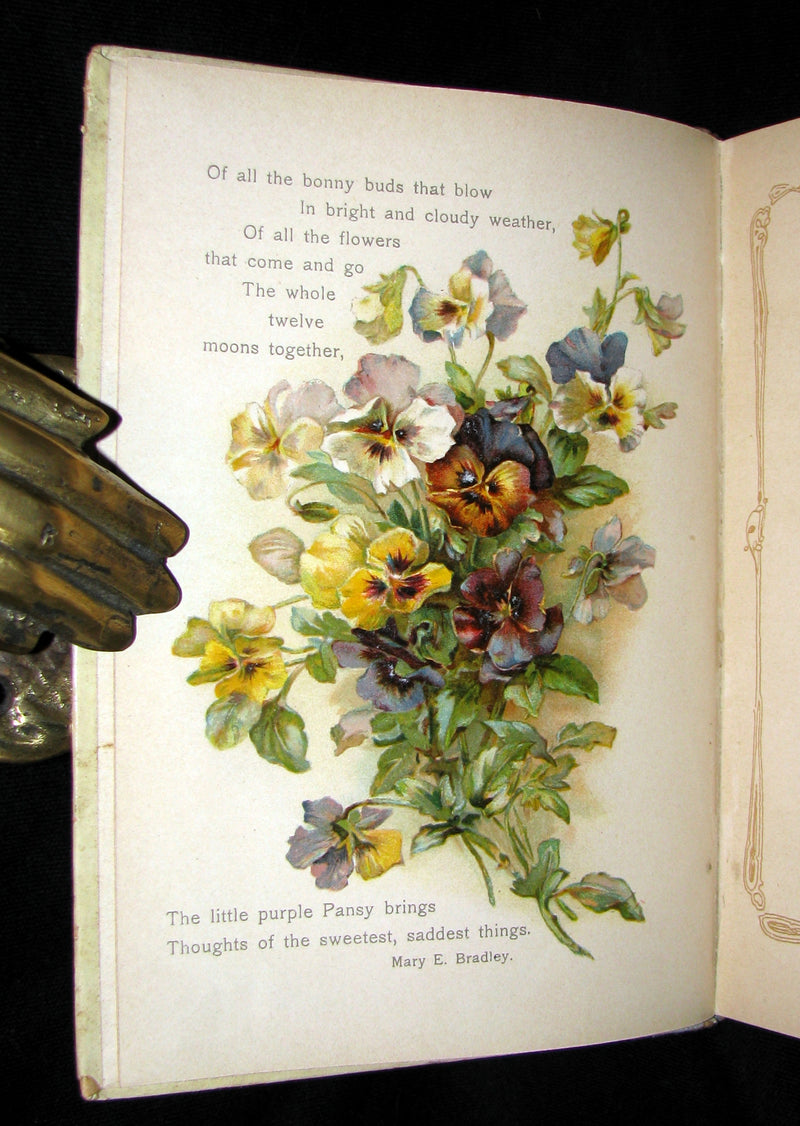 1890 Rare Floriography Book ~ The Language of Flowers by Ernest Nister