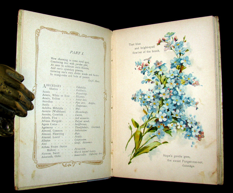 1890 Rare Floriography Book ~ The Language of Flowers by Ernest Nister