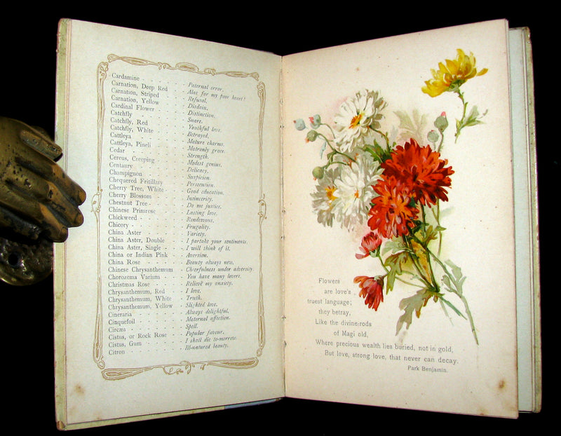 1890 Rare Floriography Book ~ The Language of Flowers by Ernest Nister