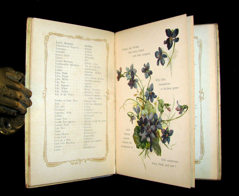 1890 Rare Floriography Book ~ The Language of Flowers by Ernest Nister