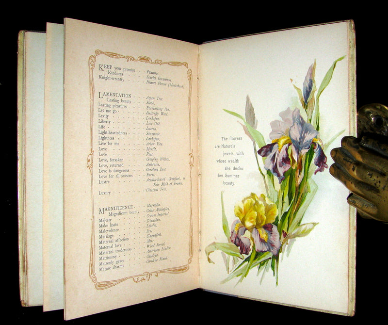 1890 Rare Floriography Book ~ The Language of Flowers by Ernest Nister