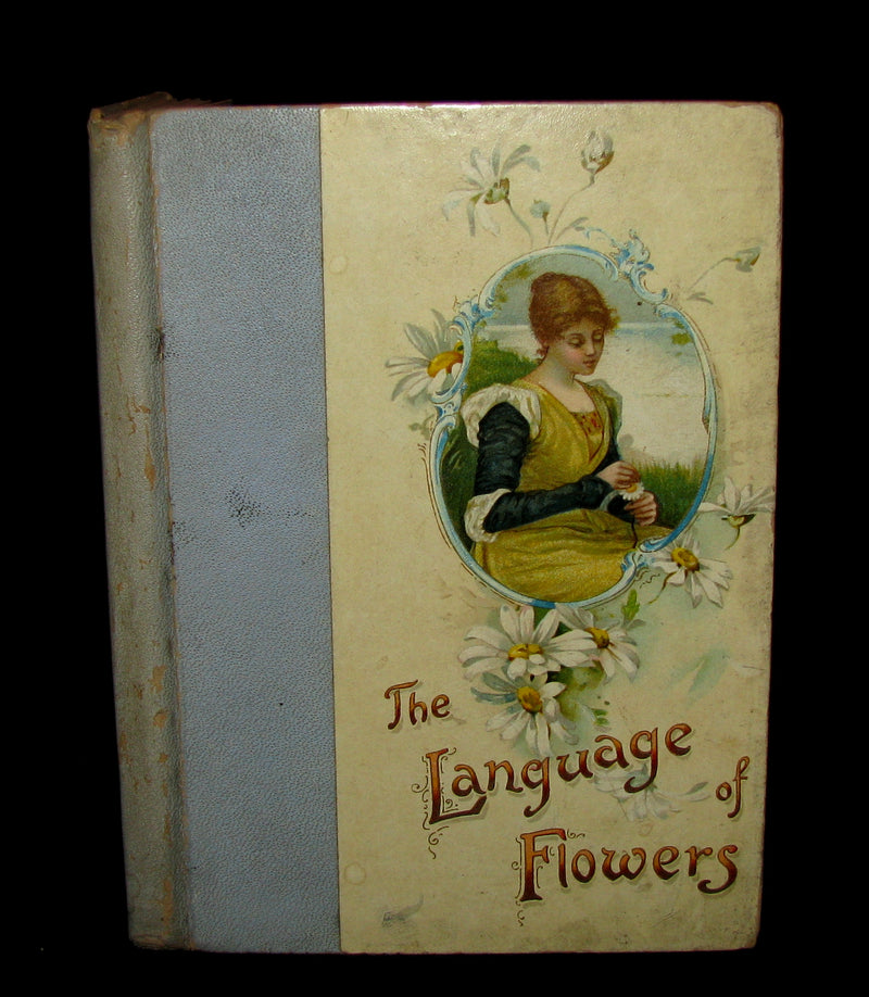 1890 Rare Floriography Book ~ The Language of Flowers by Ernest Nister
