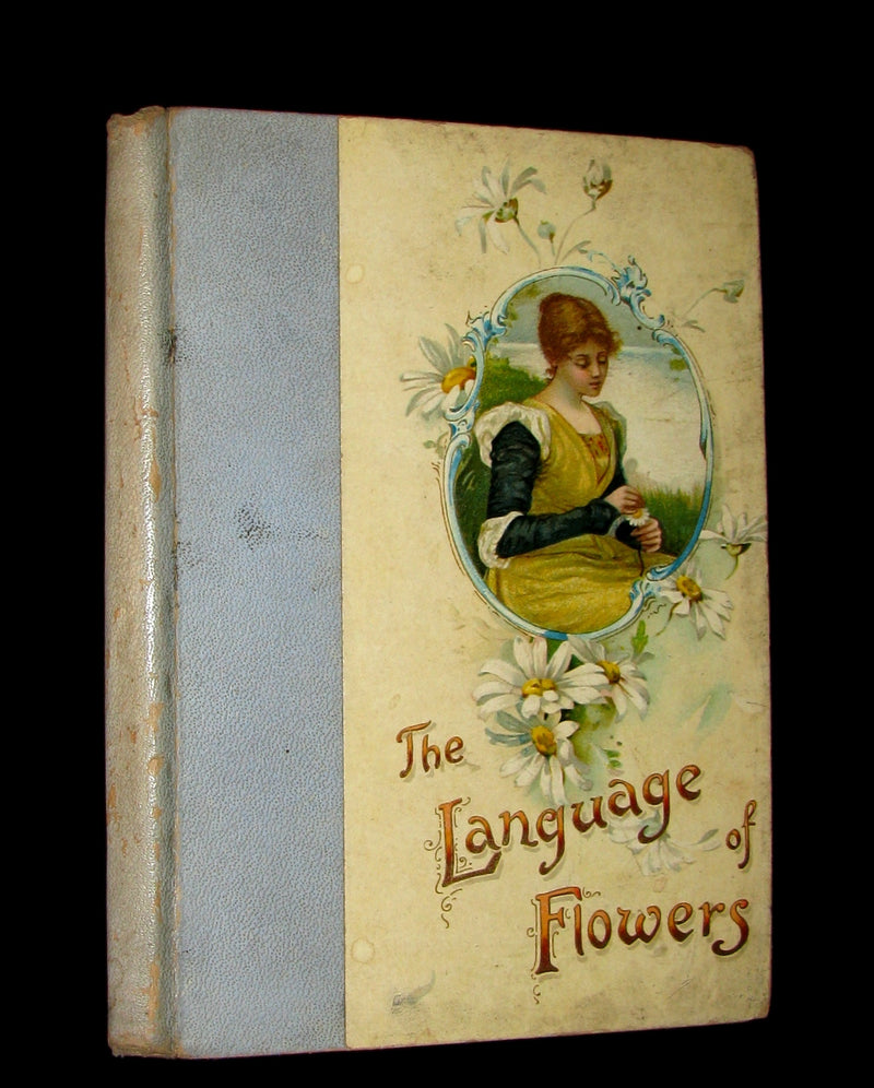 1890 Rare Floriography Book ~ The Language of Flowers by Ernest Nister