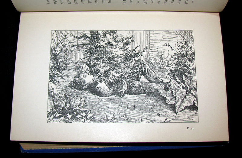 1880 Scarce Victorian Book - The Boys of Axleford by Charles Camden. Illustrated.