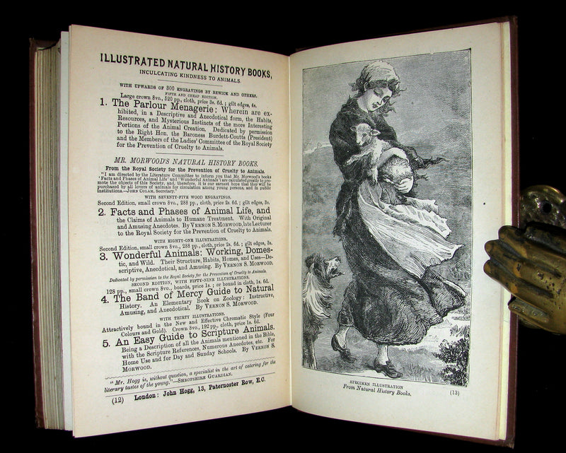 1890 Scarce Book - Your Luck's in your Hand, PALMISTRY with some account of the Gipsies