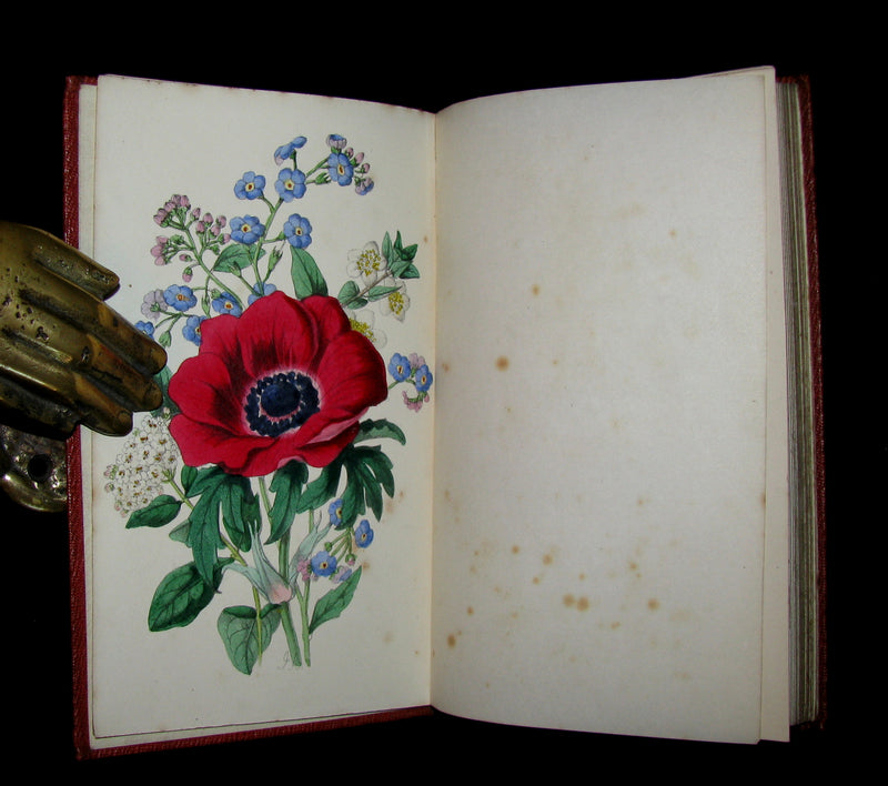 1855 Scarce Floriography Book ~ The Language and Poetry of the Pilgrimage of Love by T. Miller.