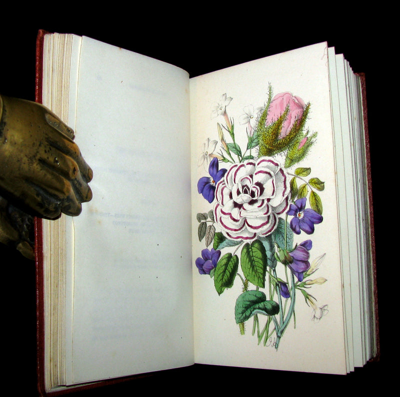 1855 Scarce Floriography Book ~ The Language and Poetry of the Pilgrimage of Love by T. Miller.
