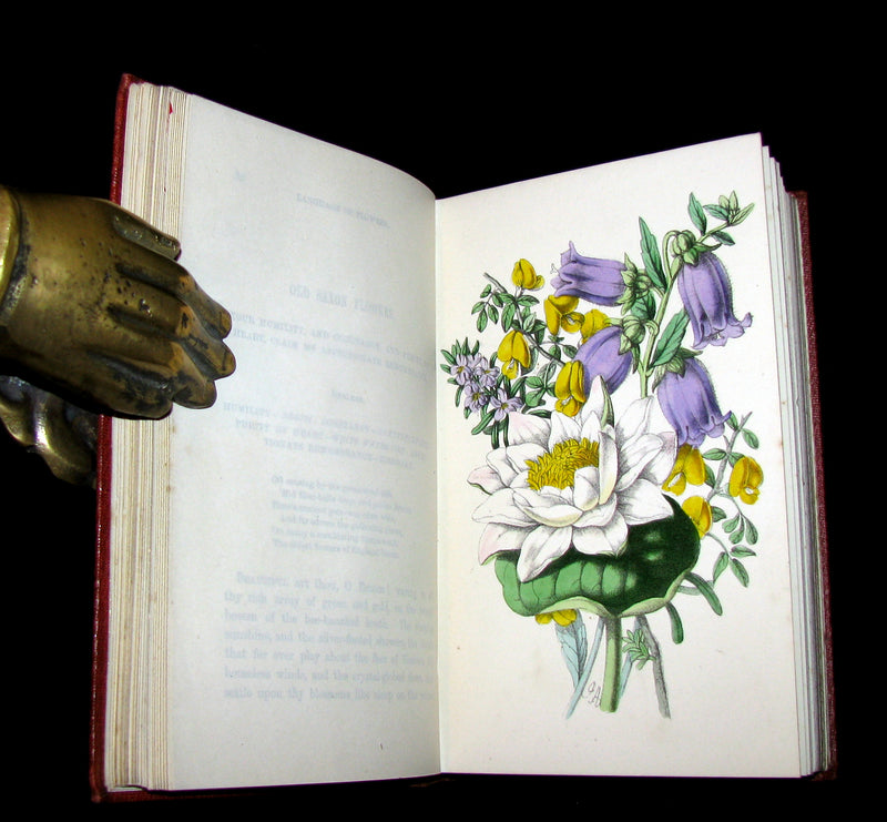 1855 Scarce Floriography Book ~ The Language and Poetry of the Pilgrimage of Love by T. Miller.