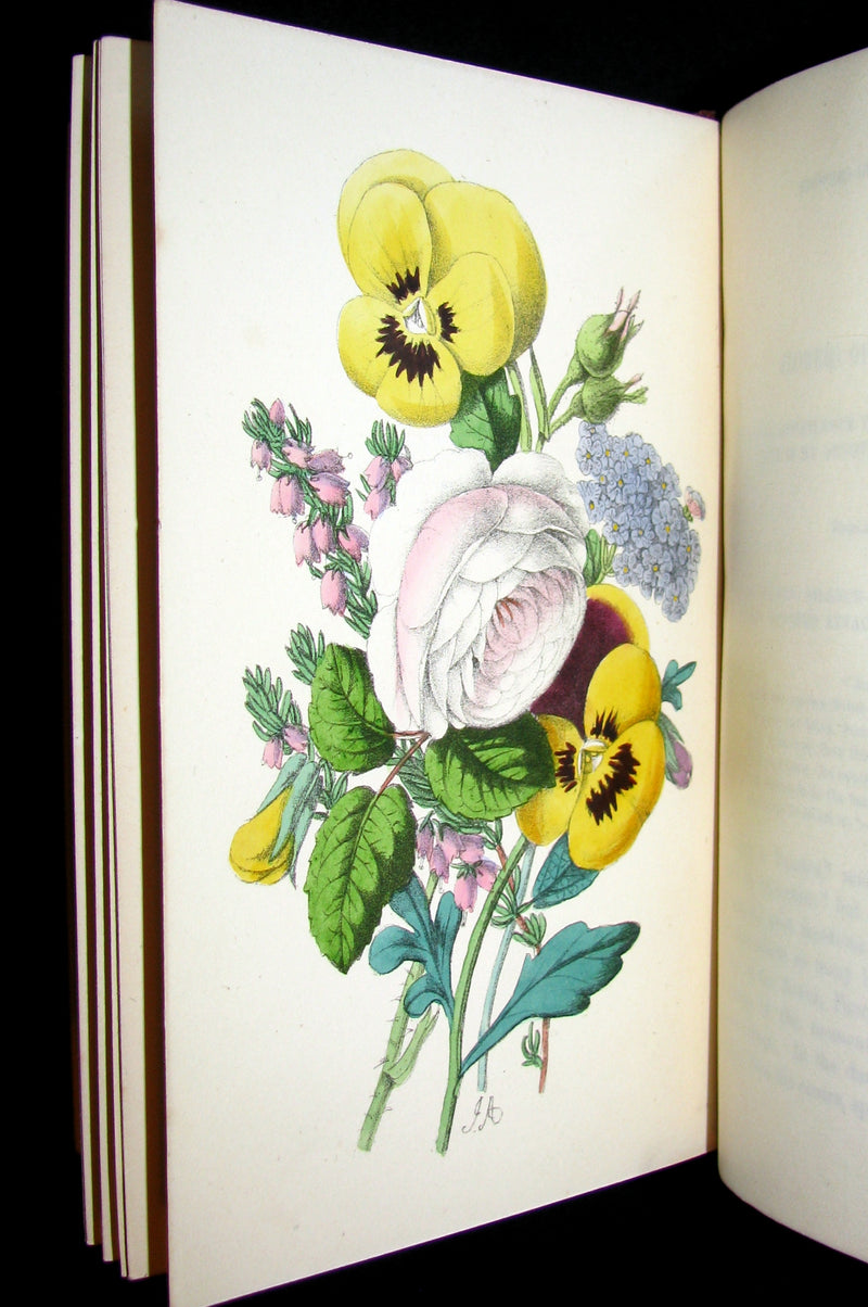 1855 Scarce Floriography Book ~ The Language and Poetry of the Pilgrimage of Love by T. Miller.