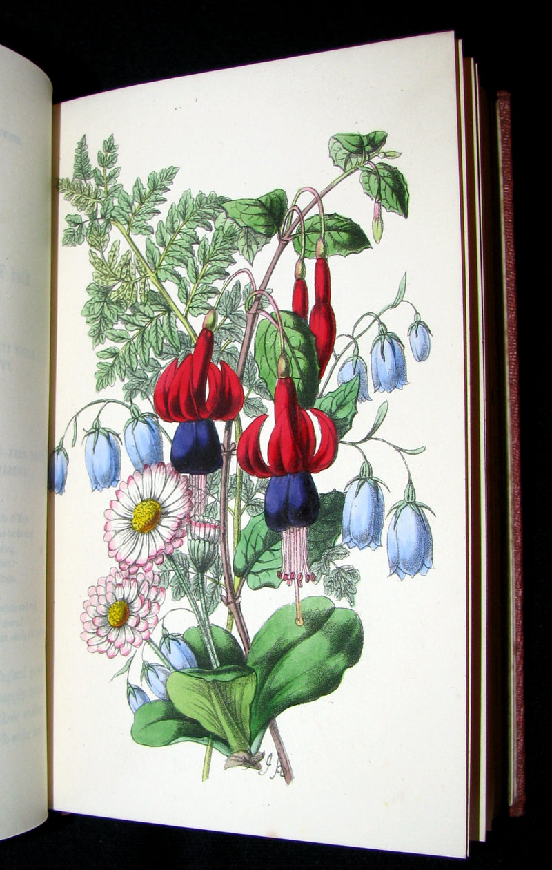 1855 Scarce Floriography Book ~ The Language and Poetry of the Pilgrimage of Love by T. Miller.