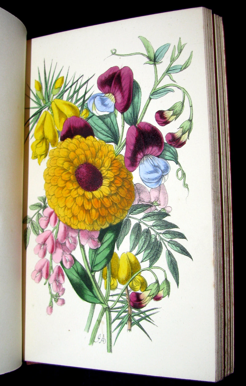 1855 Scarce Floriography Book ~ The Language and Poetry of the Pilgrimage of Love by T. Miller.