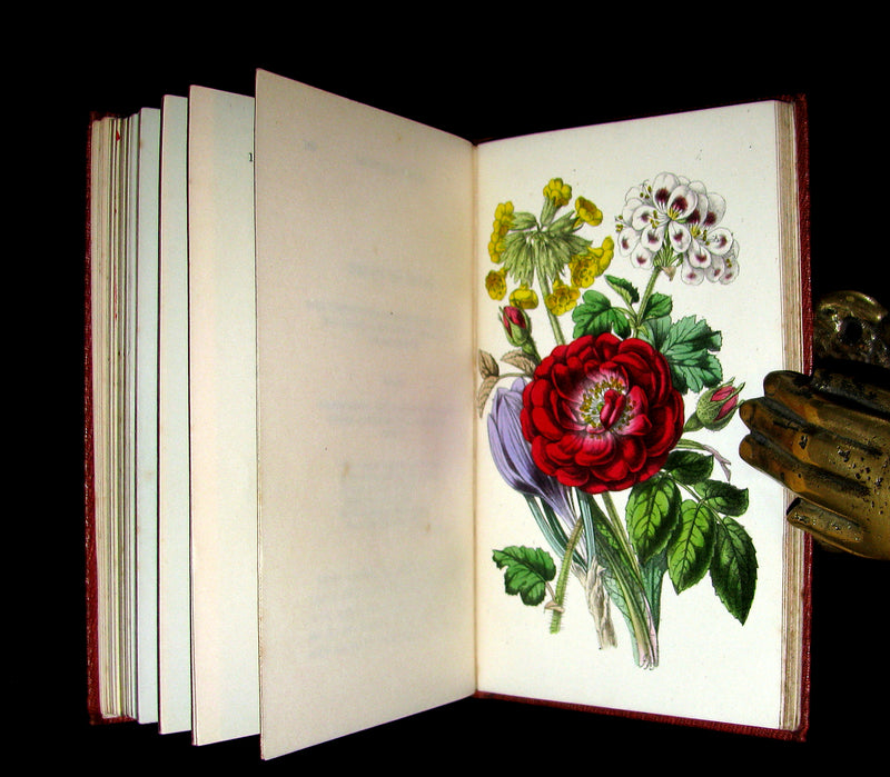1855 Scarce Floriography Book ~ The Language and Poetry of the Pilgrimage of Love by T. Miller.