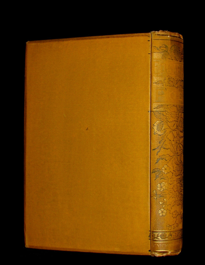 1882 Rare Victorian Book - Poems by Edgar Allan POE with Memoir (The Raven, Lenore, Ulalume, ...)