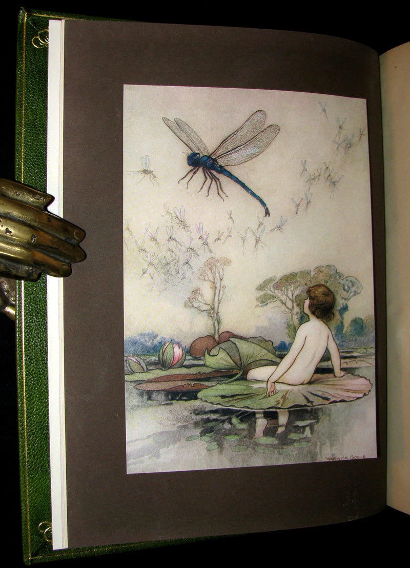 1909 Bayntun-Riviere Binding - Water-Babies Fairy Tale for a Land-Baby Illustrated by Warwick Goble. 1stED.