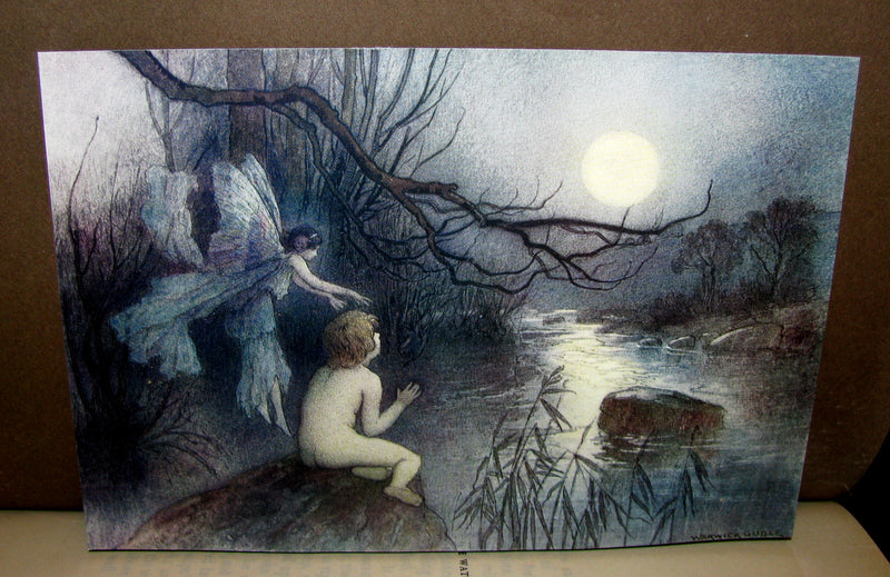 1909 Bayntun-Riviere Binding - Water-Babies Fairy Tale for a Land-Baby Illustrated by Warwick Goble. 1stED.
