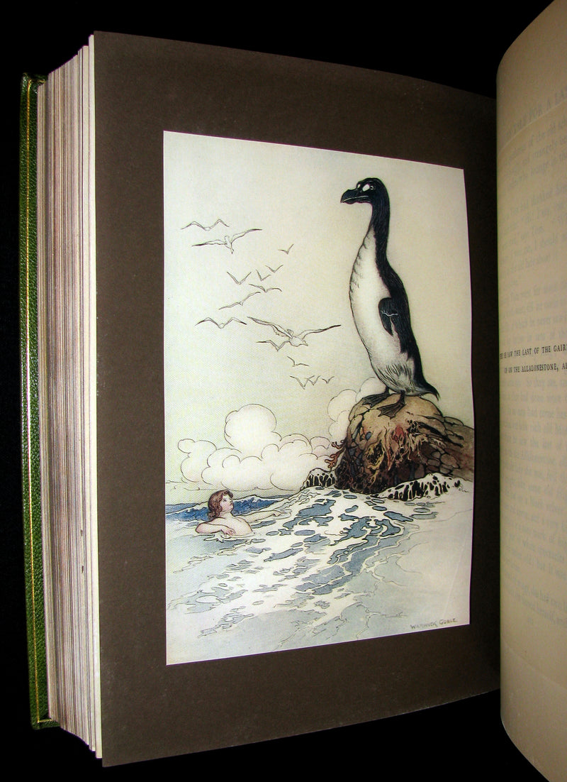 1909 Bayntun-Riviere Binding - Water-Babies Fairy Tale for a Land-Baby Illustrated by Warwick Goble. 1stED.