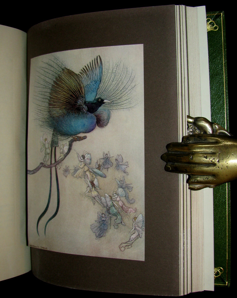 1909 Bayntun-Riviere Binding - Water-Babies Fairy Tale for a Land-Baby Illustrated by Warwick Goble. 1stED.