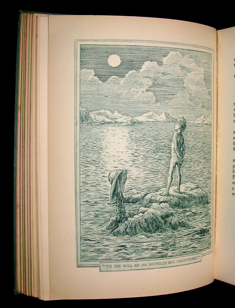 1935 Scarce Book  - Peter Pan - Peter and Wendy by J.M. Barrie Illustrated by F.D. Bedford.