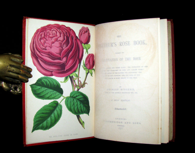 1885 Victorian Gardening Book - The Amateur's ROSE Book by Shirley Hibberd.