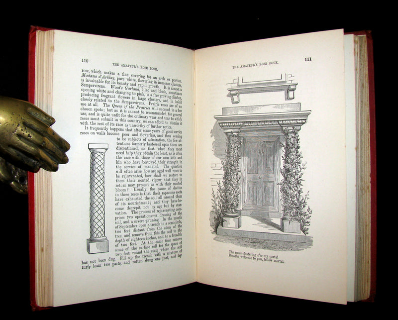 1885 Victorian Gardening Book - The Amateur's ROSE Book by Shirley Hibberd.