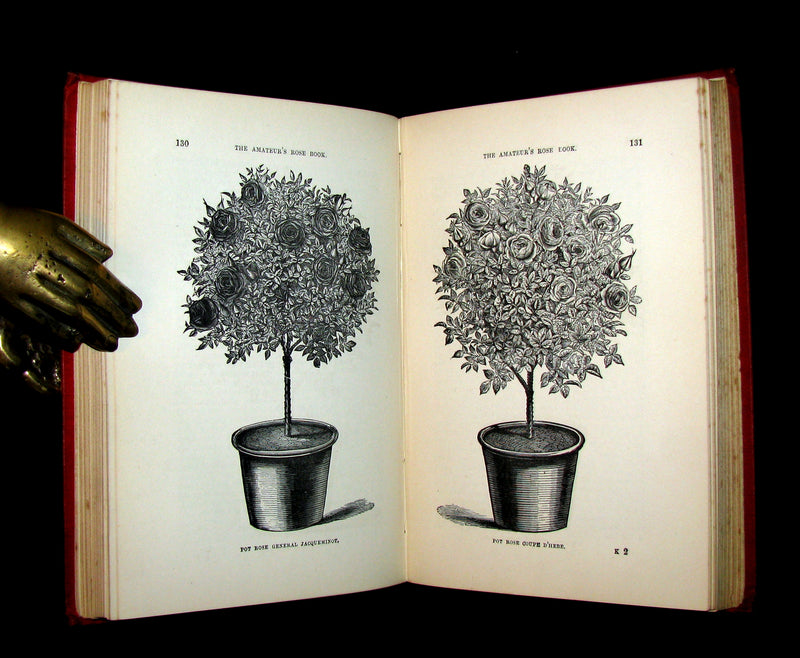 1885 Victorian Gardening Book - The Amateur's ROSE Book by Shirley Hibberd.