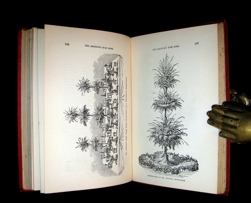 1885 Victorian Gardening Book - The Amateur's ROSE Book by Shirley Hibberd.