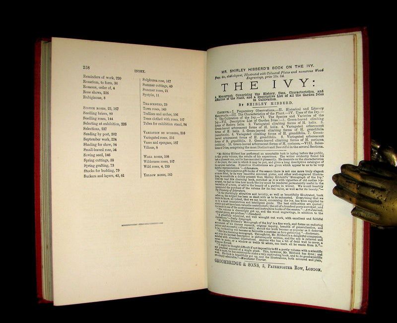 1885 Victorian Gardening Book - The Amateur's ROSE Book by Shirley Hibberd.