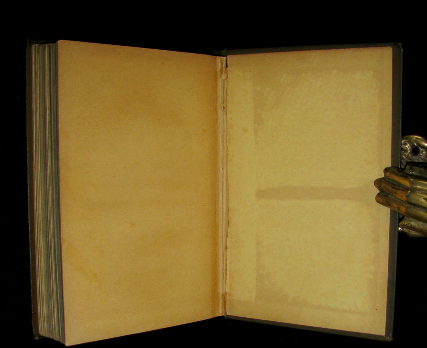 1891 Rare Book - Edgar Allan POE Tales of Adventure, Mystery and Imagination.