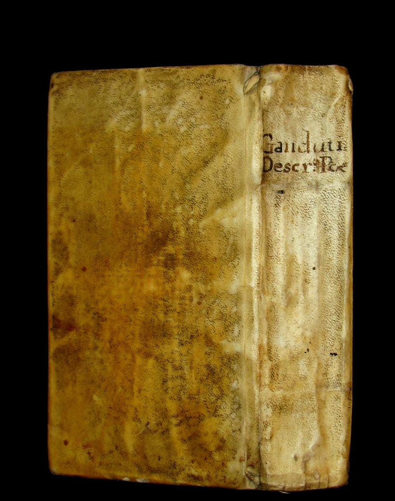 1691 Rare Latin Vellum Book - DESCRIPTIONES POETICAE - Dragon, Hydra, Chaos, etc.