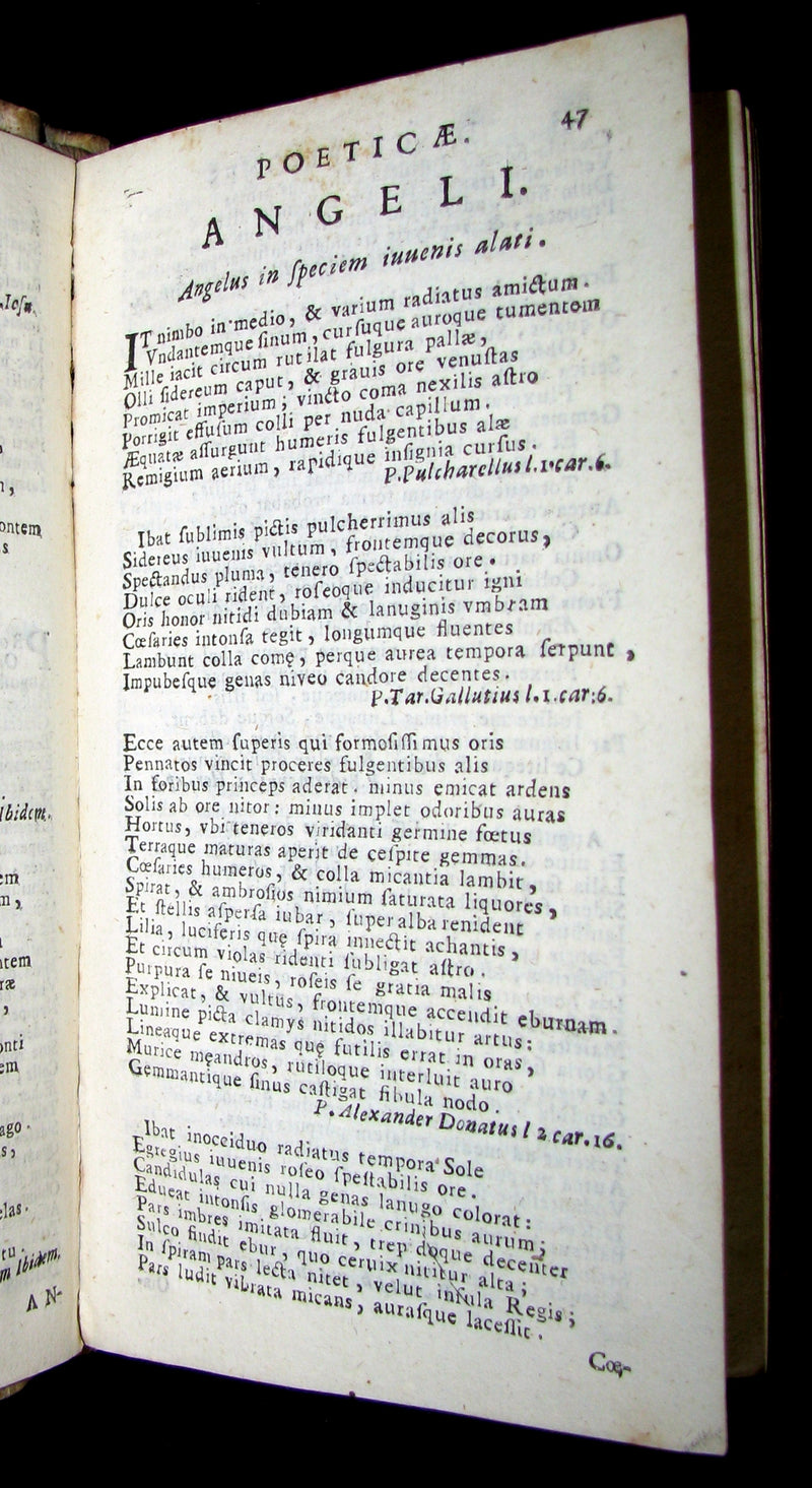 1691 Rare Latin Vellum Book - DESCRIPTIONES POETICAE - Dragon, Hydra, Chaos, etc.