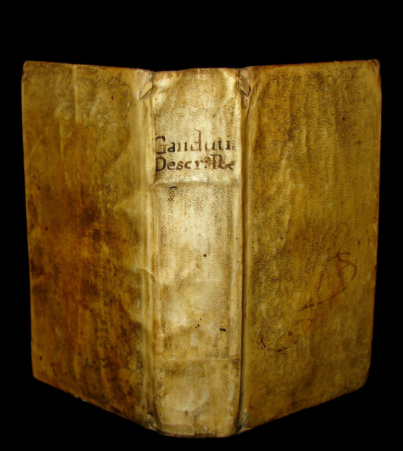 1691 Rare Latin Vellum Book - DESCRIPTIONES POETICAE - Dragon, Hydra, Chaos, etc.