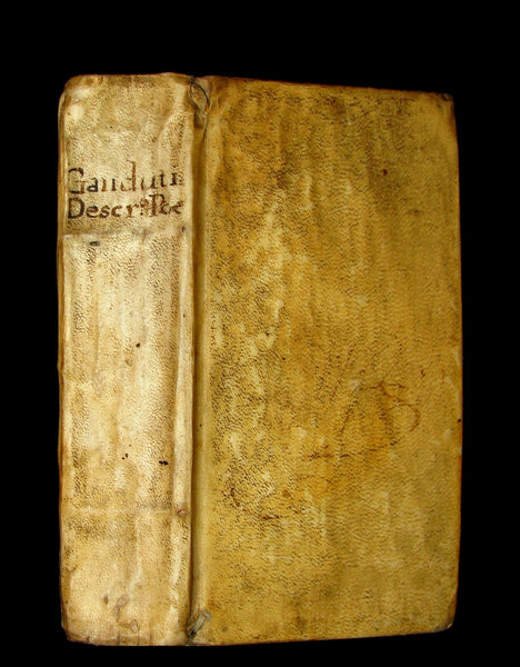1691 Rare Latin Vellum Book - DESCRIPTIONES POETICAE - Dragon, Hydra, Chaos, etc.