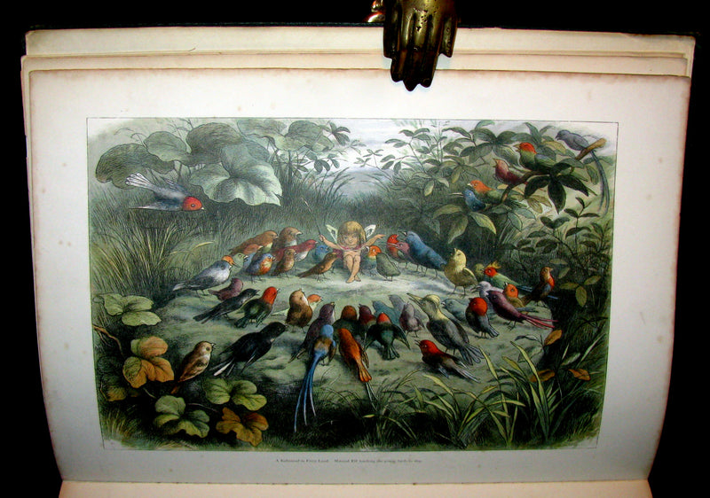 1875 Rare Richard Doyle Book - In FAIRYLAND : A Series of Pictures from the ELF-WORLD. 2nd EDITION.