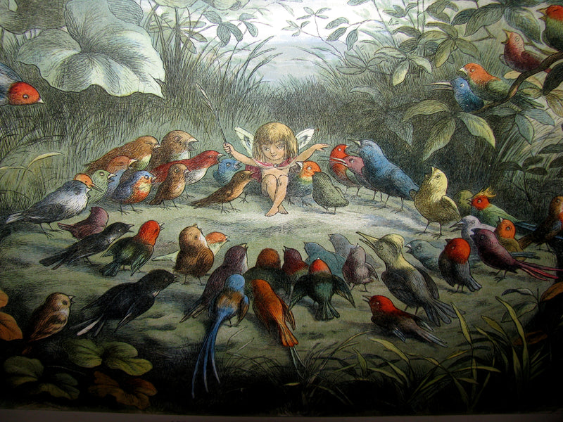 1875 Rare Richard Doyle Book - In FAIRYLAND : A Series of Pictures from the ELF-WORLD. 2nd EDITION.