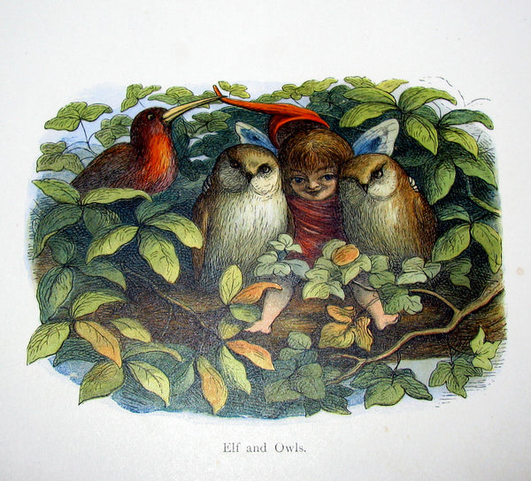 1875 Rare Richard Doyle Book - In FAIRYLAND : A Series of Pictures from the ELF-WORLD. 2nd EDITION.