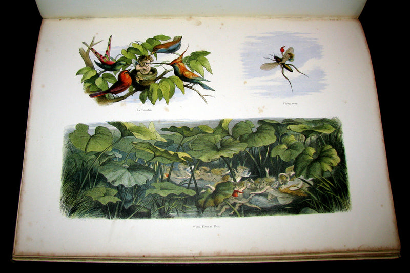 1875 Rare Richard Doyle Book - In FAIRYLAND : A Series of Pictures from the ELF-WORLD. 2nd EDITION.
