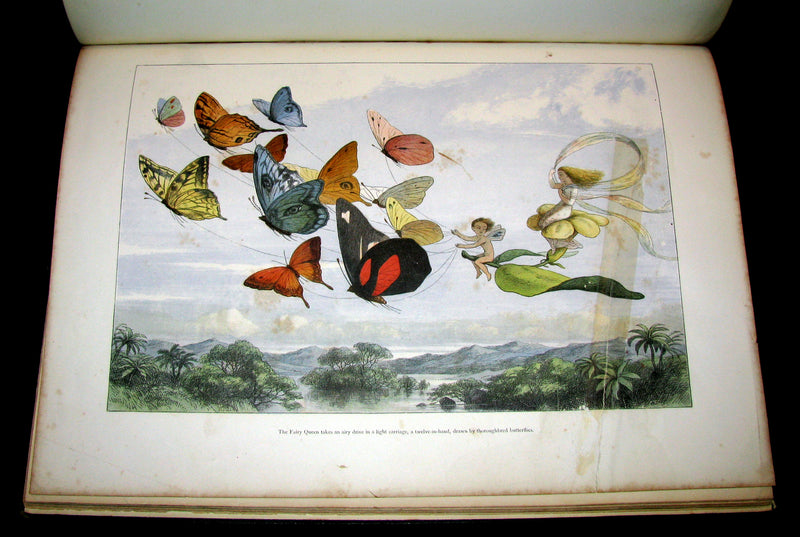 1875 Rare Richard Doyle Book - In FAIRYLAND : A Series of Pictures from the ELF-WORLD. 2nd EDITION.