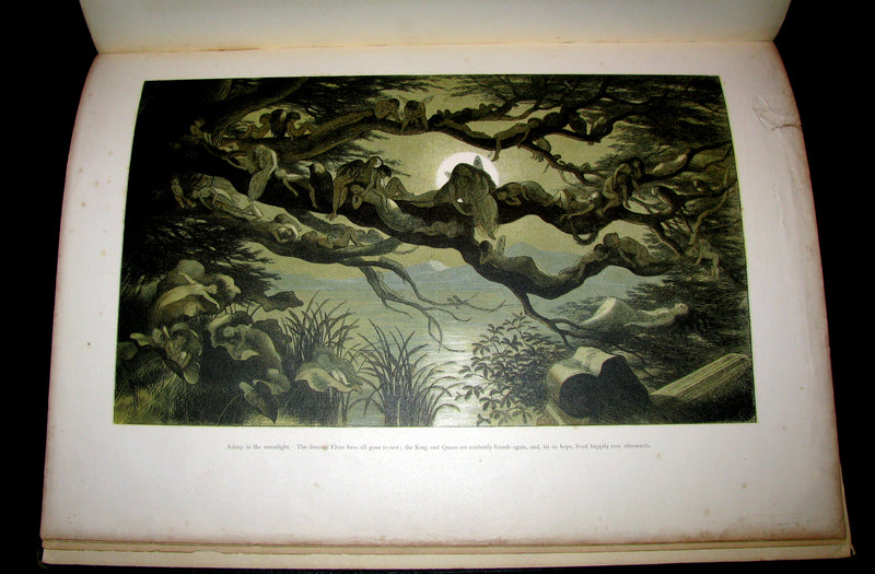 1875 Rare Richard Doyle Book - In FAIRYLAND : A Series of Pictures from the ELF-WORLD. 2nd EDITION.