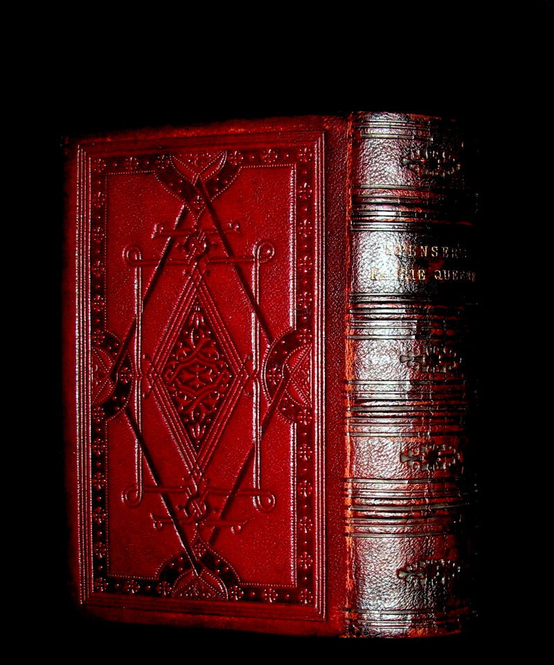 1855 Rare Fairy Queen Book ~ The FAERIE QUEENE by Edmund SPENSER Illustrated by Corbould.