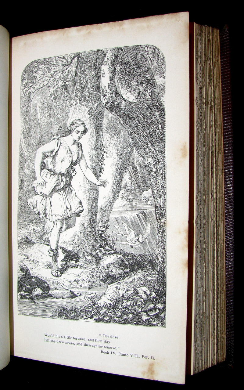 1855 Rare Fairy Queen Book ~ The FAERIE QUEENE by Edmund SPENSER Illustrated by Corbould.