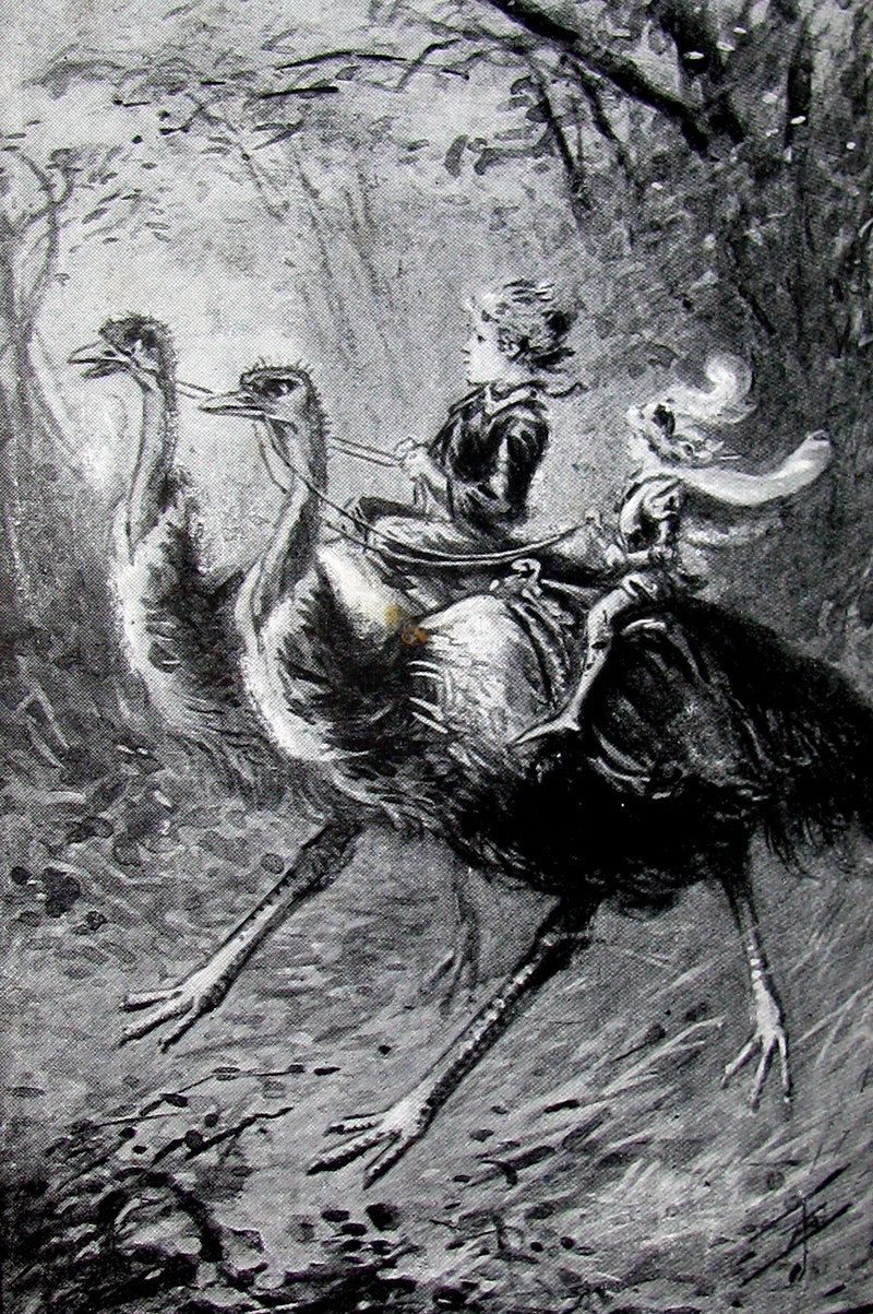 1897 Scarce 1stED Book - AUSTRALIAN FAIRY TALES by Atha Westbury. Illustrated.