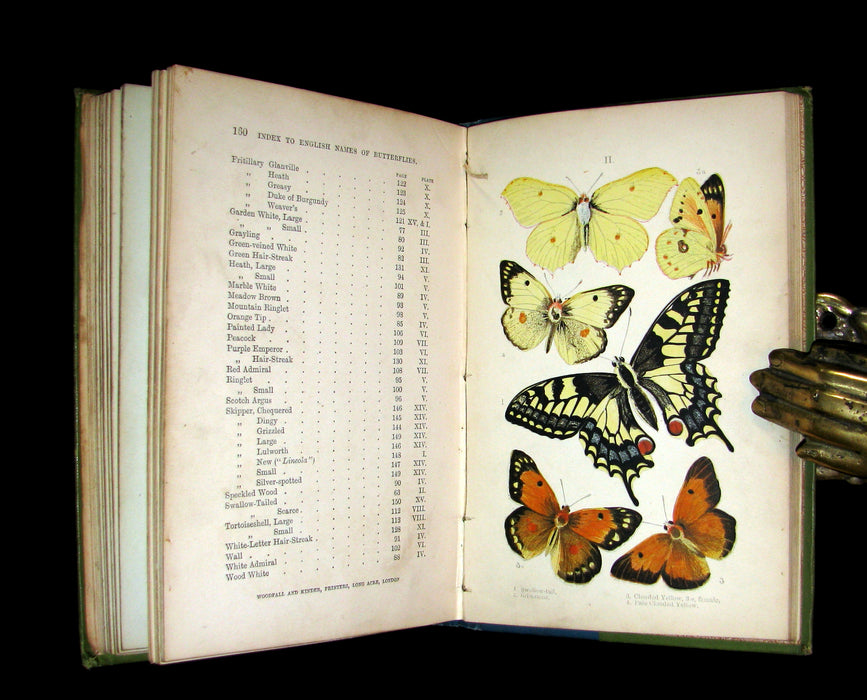 1897 Rare Book - British Butterflies, Figures and Descriptions of Every Native Species by W. S. Coleman.