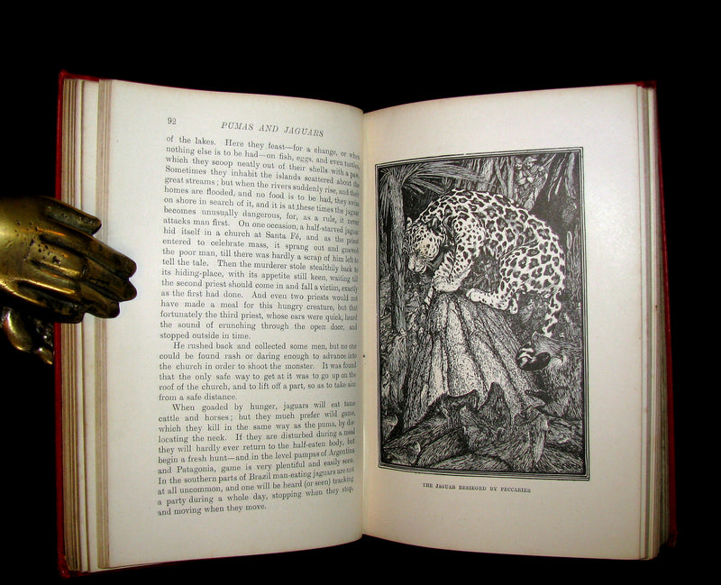 1899 Rare 1stEd Book - The RED BOOK of ANIMAL STORIES by Andrew Lang Illustrated by H.J. FORD.